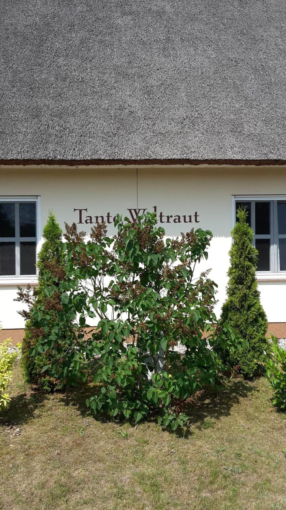 Haeuschen "Tante Waltraut" Villa Garz  Exterior foto